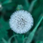 3d158期最新开奖结果查询与详细数据分析 9f8wgg0yl