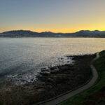 172期开奖结果正式公布,大奖花落谁家引关注 b9hcjng