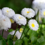 17直播福利大放送,现在参与还有惊喜好礼相送! d809u75