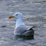 178期开奖号码揭晓:最新中奖结果公布 i6nr40