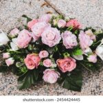 17网直播平台精彩内容实时放送 ip7dgndy7c