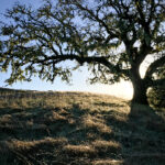 176开彩开奖结果最新公布,速来查看中奖详情 mlgmwuls